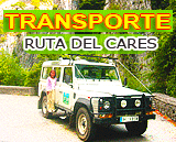 Trasnsporte